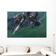 Navy Seal Combat Swimmer Wall Decal