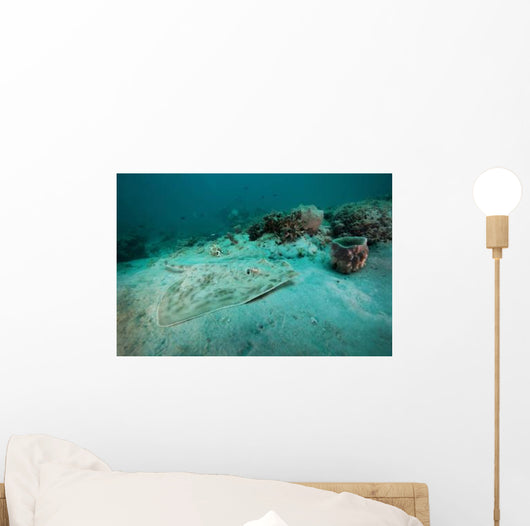 Southern Stingray Sandy Bottom Wall Decal