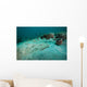 Southern Stingray Sandy Bottom Wall Decal