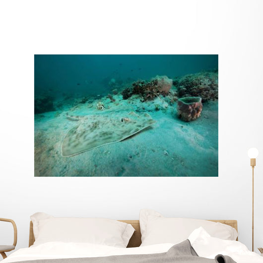 Southern Stingray Sandy Bottom Wall Decal