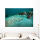 Southern Stingray Sandy Bottom Wall Decal