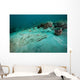 Southern Stingray Sandy Bottom Wall Decal