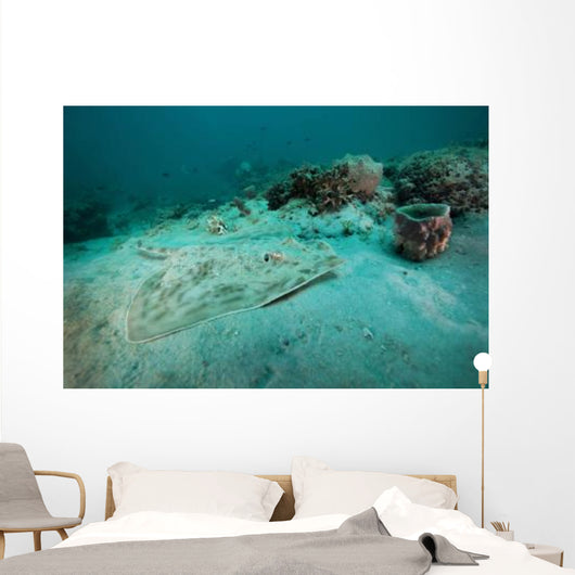 Southern Stingray Sandy Bottom Wall Decal