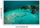 Southern Stingray Sandy Bottom Wall Decal