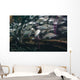 Large School Tomtate inside Wall Decal