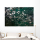 School Tomtate and Glass Wall Decal