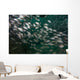 School Tomtate and Glass Wall Decal