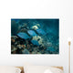 Small School Bermuda Chub Wall Decal