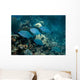 Small School Bermuda Chub Wall Decal