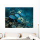 Small School Bermuda Chub Wall Decal