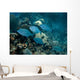 Small School Bermuda Chub Wall Decal