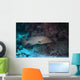Tiger Grouper Swimming along Wall Decal