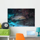 Tiger Grouper Swimming along Wall Decal