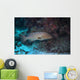 Tiger Grouper Swimming along Wall Decal
