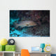 Tiger Grouper Swimming along Wall Decal