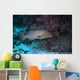 Tiger Grouper Swimming along Wall Decal