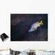 Pair Schoolmaster Fish Wall Decal