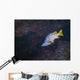 Pair Schoolmaster Fish Wall Decal