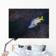 Pair Schoolmaster Fish Wall Decal