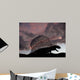 Dimetrodon Limbatus Prehistoric Animal Wall Decal