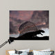 Dimetrodon Limbatus Prehistoric Animal Wall Decal