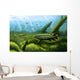 Holoptychius Tulerpeton and Moythomasia Wall Decal