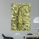 Lanthanosuchus Extinct Genus Parareptile Wall Decal