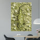 Lanthanosuchus Extinct Genus Parareptile Wall Decal