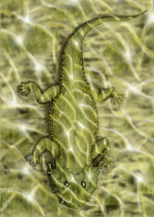 Lanthanosuchus Extinct Genus Parareptile Wall Decal