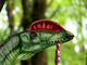 Dilophosaurus Wetherilli with Piece Wall Decal