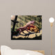 Biarmosuchus Predators Eating Flesh Wall Decal