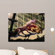 Biarmosuchus Predators Eating Flesh Wall Decal