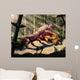 Biarmosuchus Predators Eating Flesh Wall Decal