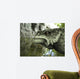 Close-up Head Scutosaurus Karpinskii Wall Decal