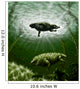 Scutosaurus Karpinskii Prehistoric Waters Wall Decal