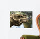 Close-up Head Scutosaurus Tuberculatus Wall Decal