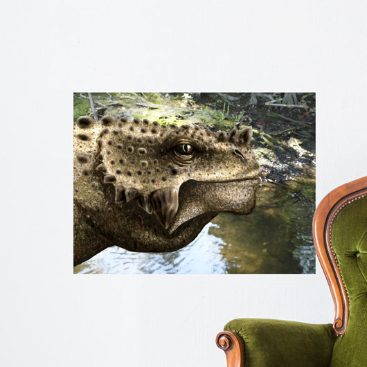 Close-up Head Scutosaurus Tuberculatus Wall Decal