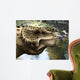 Close-up Head Scutosaurus Tuberculatus Wall Decal