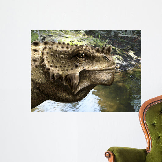 Close-up Head Scutosaurus Tuberculatus Wall Decal