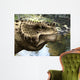 Close-up Head Scutosaurus Tuberculatus Wall Decal