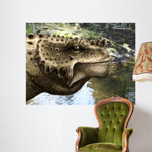 Close-up Head Scutosaurus Tuberculatus Wall Decal