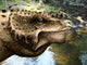 Close-up Head Scutosaurus Tuberculatus Wall Decal