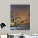 Zupaysaurus Rougieri Theropod Dinosaur Wall Decal