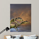 Zupaysaurus Rougieri Theropod Dinosaur Wall Decal