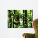 Archaeopteryx Flying through Forest Wall Decal