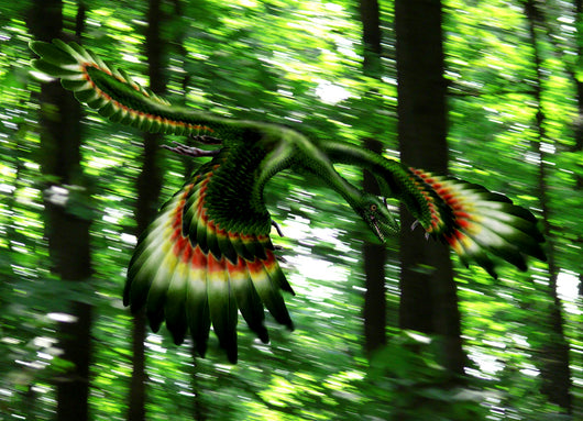 Archaeopteryx Flying through Forest Wall Decal