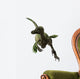 Velociraptor White Wall Decal Design 2