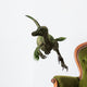 Velociraptor White Wall Decal Design 2