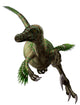 Velociraptor White Wall Decal Design 2