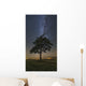 Lonely Tree Field Night Wall Decal